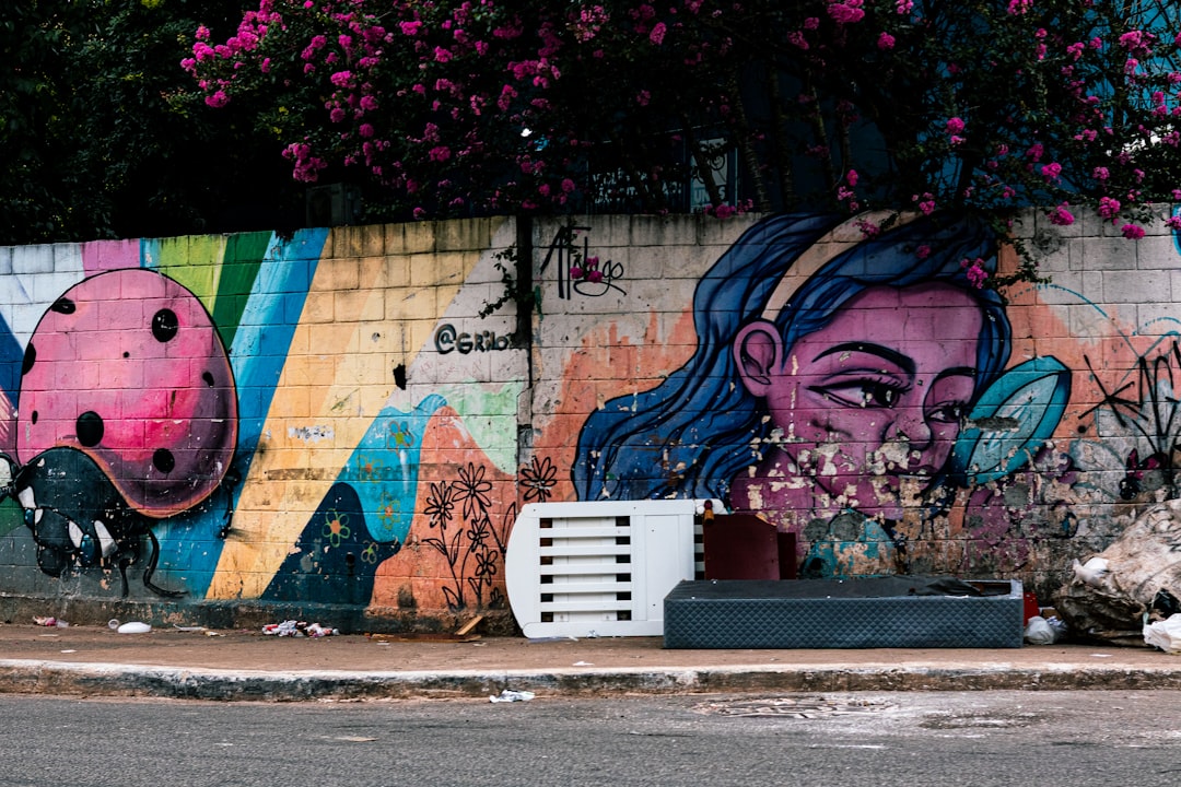 Read more about the article How Street Murals Transform Urban Spaces